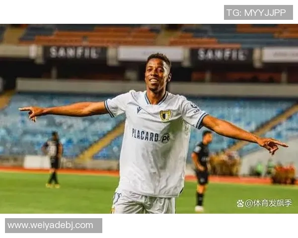 法马利与比兰尼的精彩对决分析及赛前预测展望