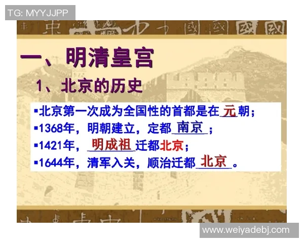 荷兰的VS是哪种独特的文化象征与历史传承解析