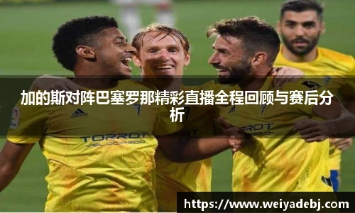 快盈VIII