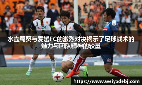水壶蜀葵与爱媛FC的激烈对决揭示了足球战术的魅力与团队精神的较量
